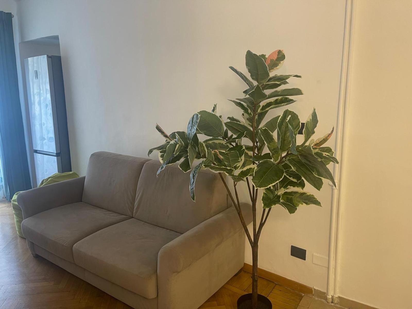 Torino Natura In Centro Luaran gambar