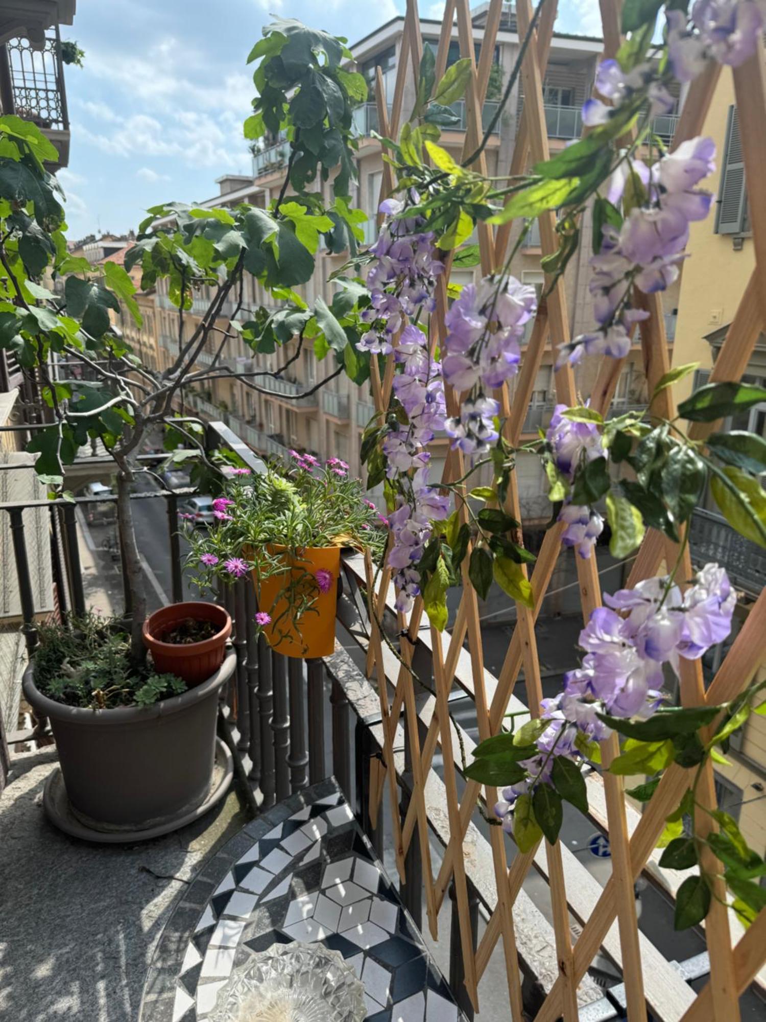 Torino Natura In Centro Luaran gambar