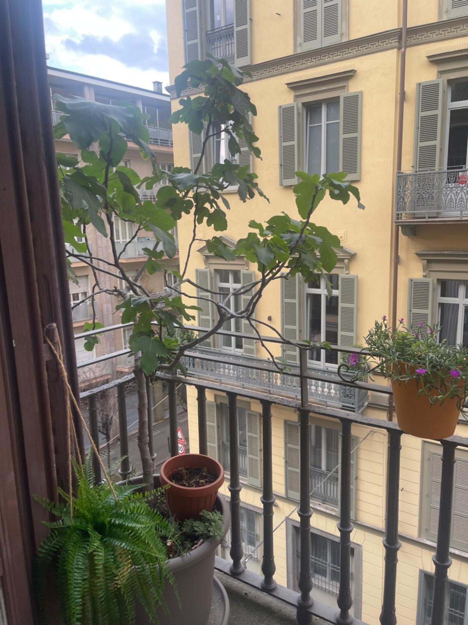 Torino Natura In Centro Luaran gambar